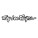 Troy Lee Designs